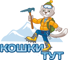 Кошки тут koshkitut.png