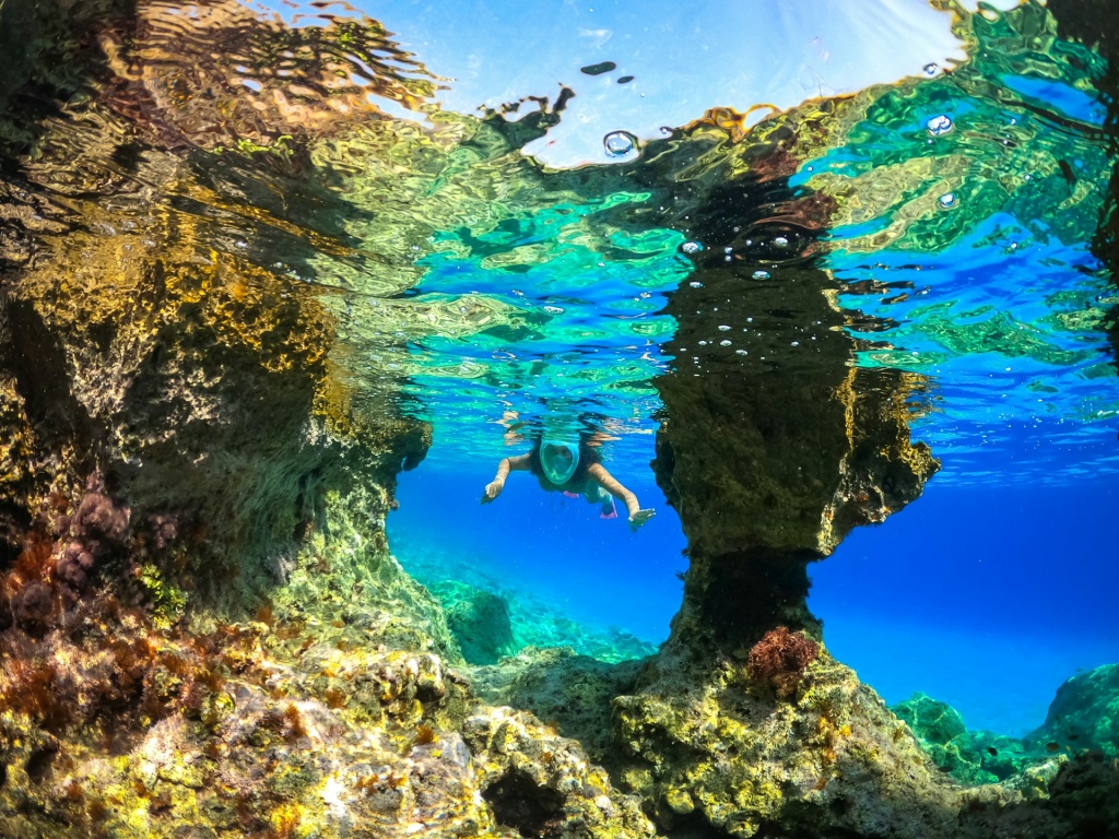 scorn-pion-hkC_KXjkWF4-unsplash.jpg scorn-pion-hkC_KXjkWF4-unsplash.jpg