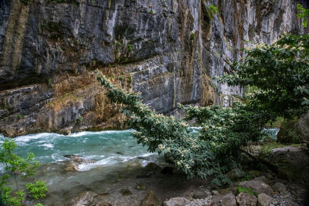 julia-prokopenko-knVTlURvOik-unsplash.jpg julia-prokopenko-knVTlURvOik-unsplash.jpg