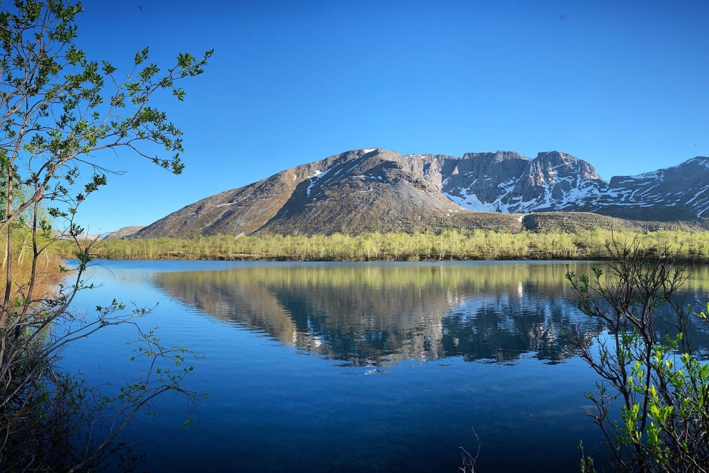 sergeigussev-nature-6830395_1920.jpg